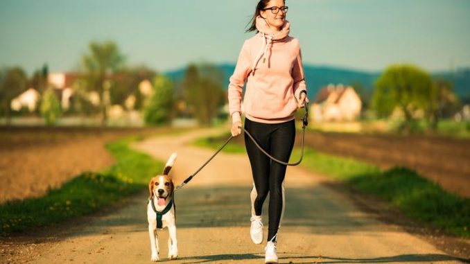 How To Select A Perfect Dog Running Leash