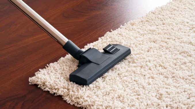 Best Carpet Cleaning Method - Fortador