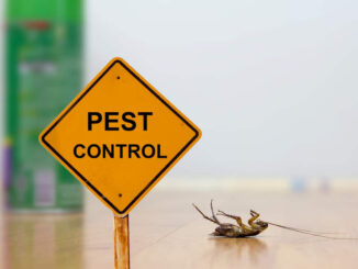 Pest Control Methods